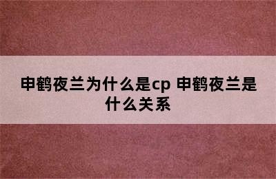 申鹤夜兰为什么是cp 申鹤夜兰是什么关系